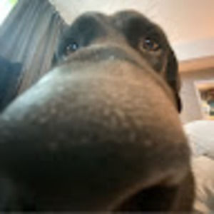 Meet your Posher, Ella